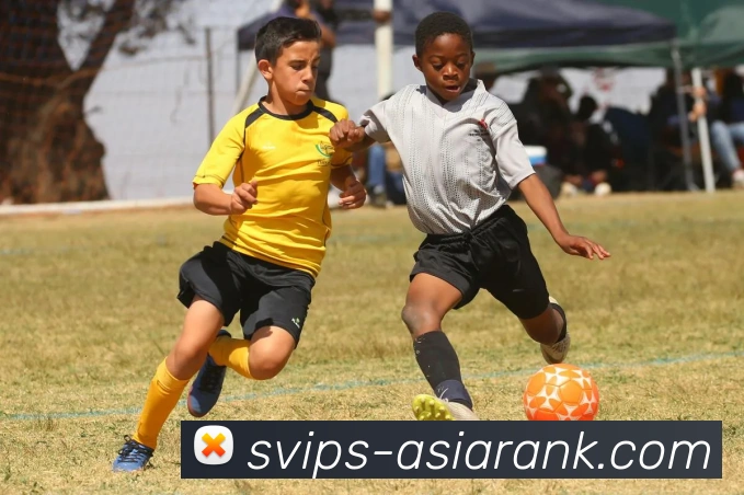 亚洲博彩官网平台生态图